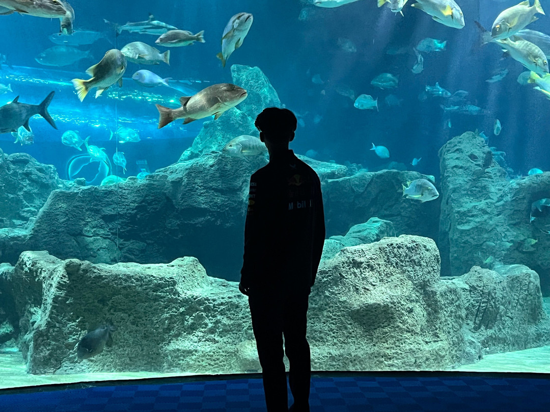 Acuario Michin Guadalajara-瓜达拉哈拉必去景点