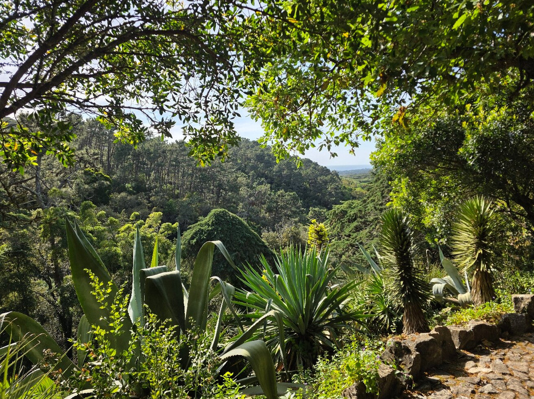 蒙塞拉特宫-辛特拉必去景点