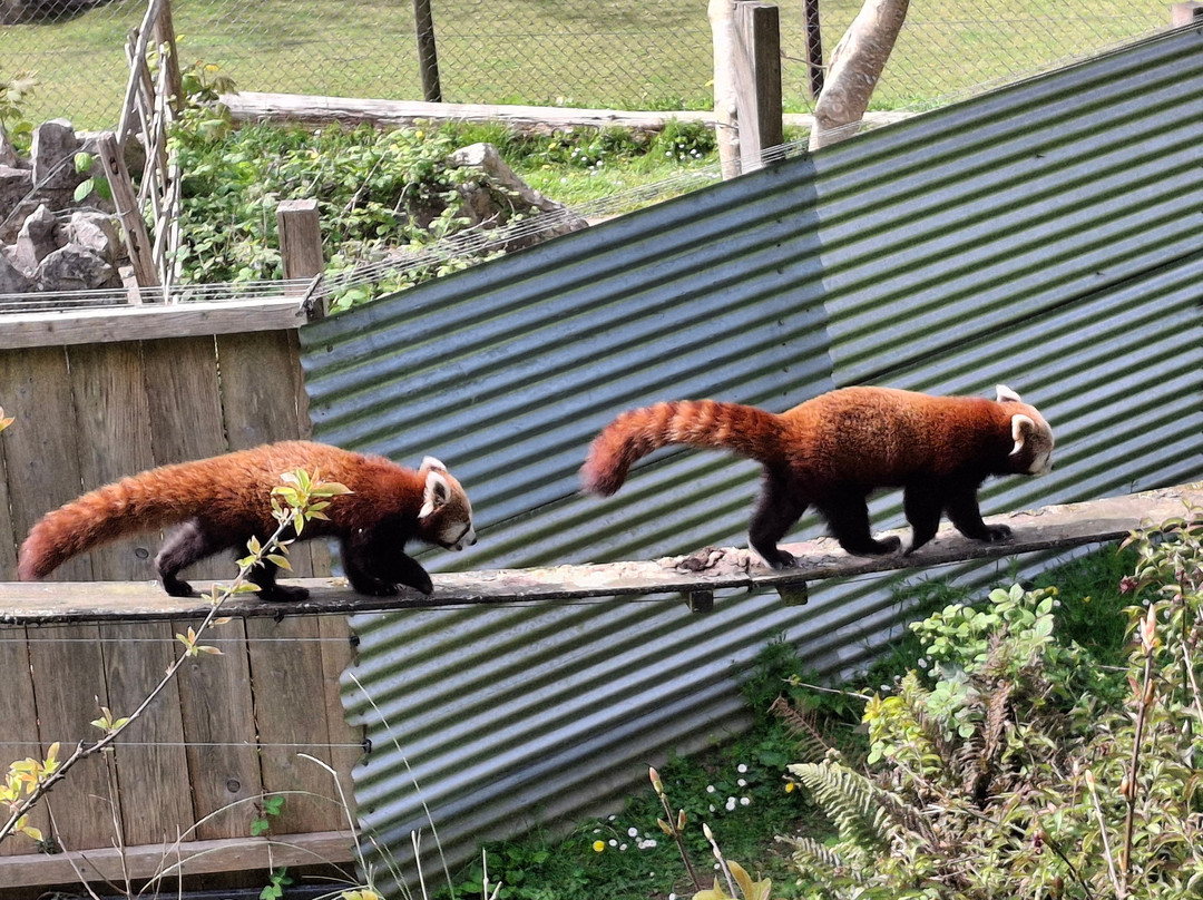 Manor Wildlife Park-St. Florence必去景点