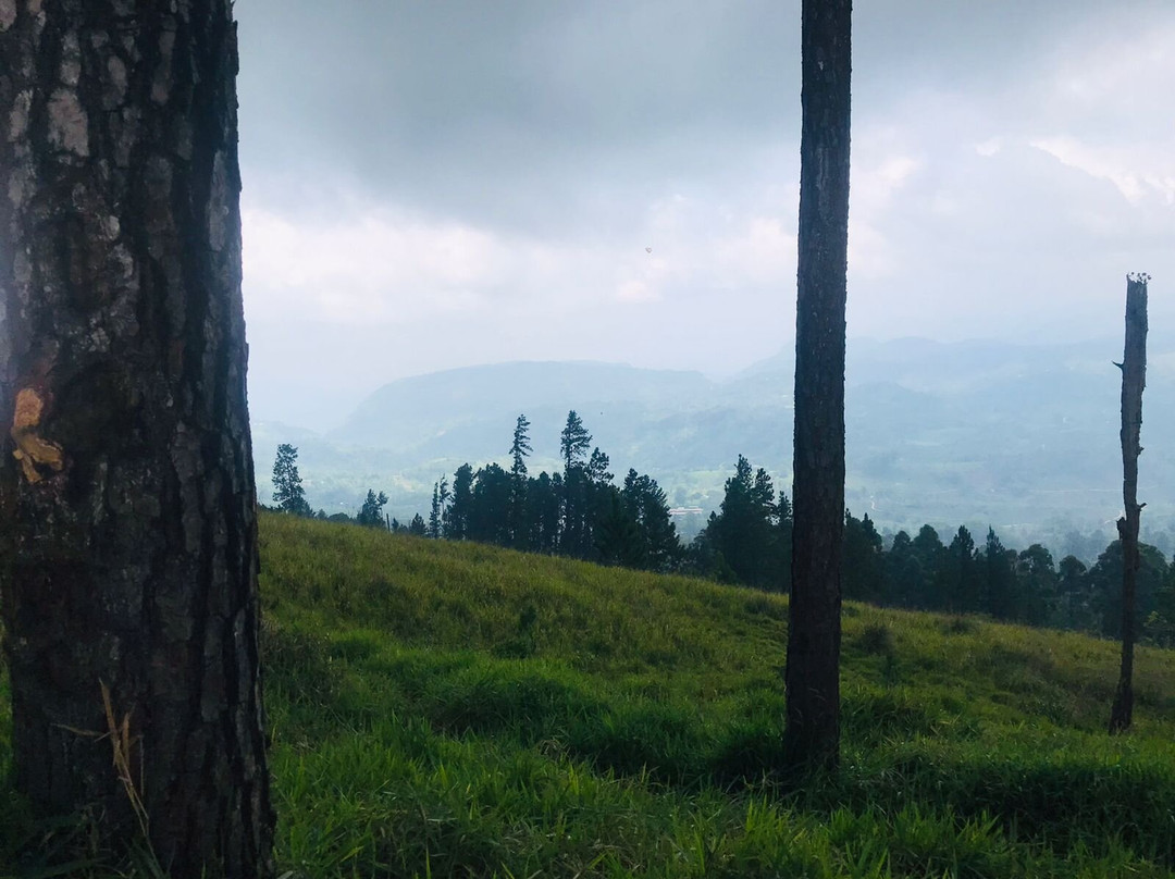 蓝色兰卡之旅-Nugegoda必去景点