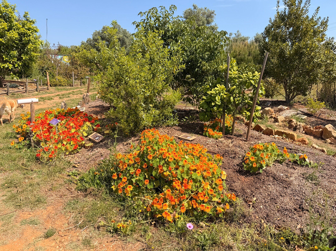 Orchard Of Flavours Botanical Garden-Luz de Tavira必去景点