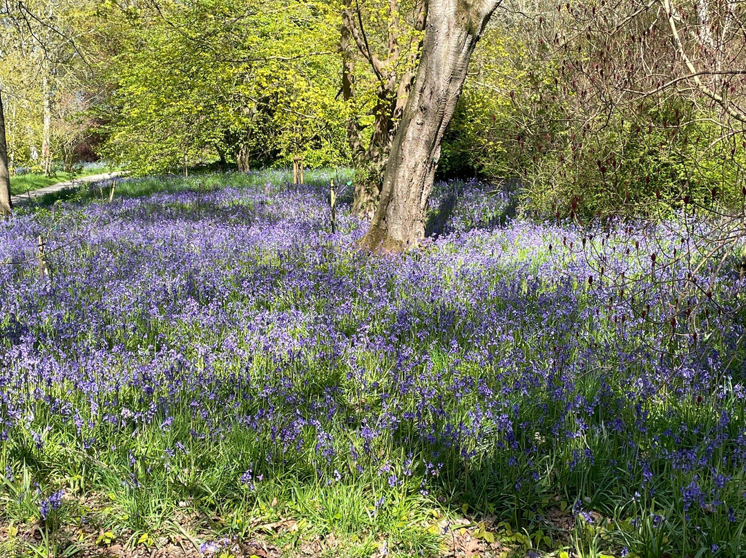 Thorp Perrow-Bedale必去景点