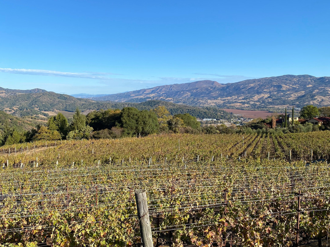 Alta Orsa Winery-Hopland必去景点
