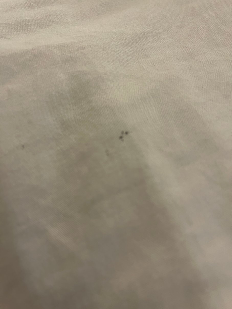 麦德威尔会议度假村及会议中心-旅行者