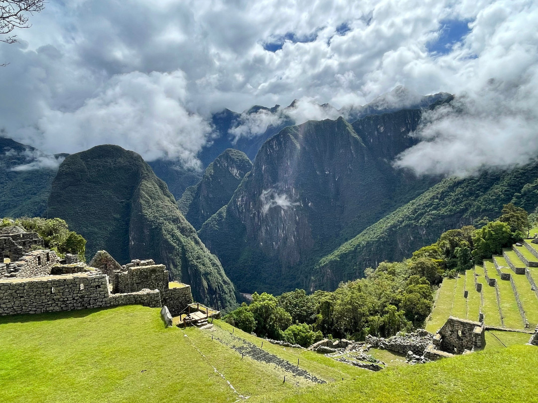 Alpaca Expeditions-库斯科必去景点