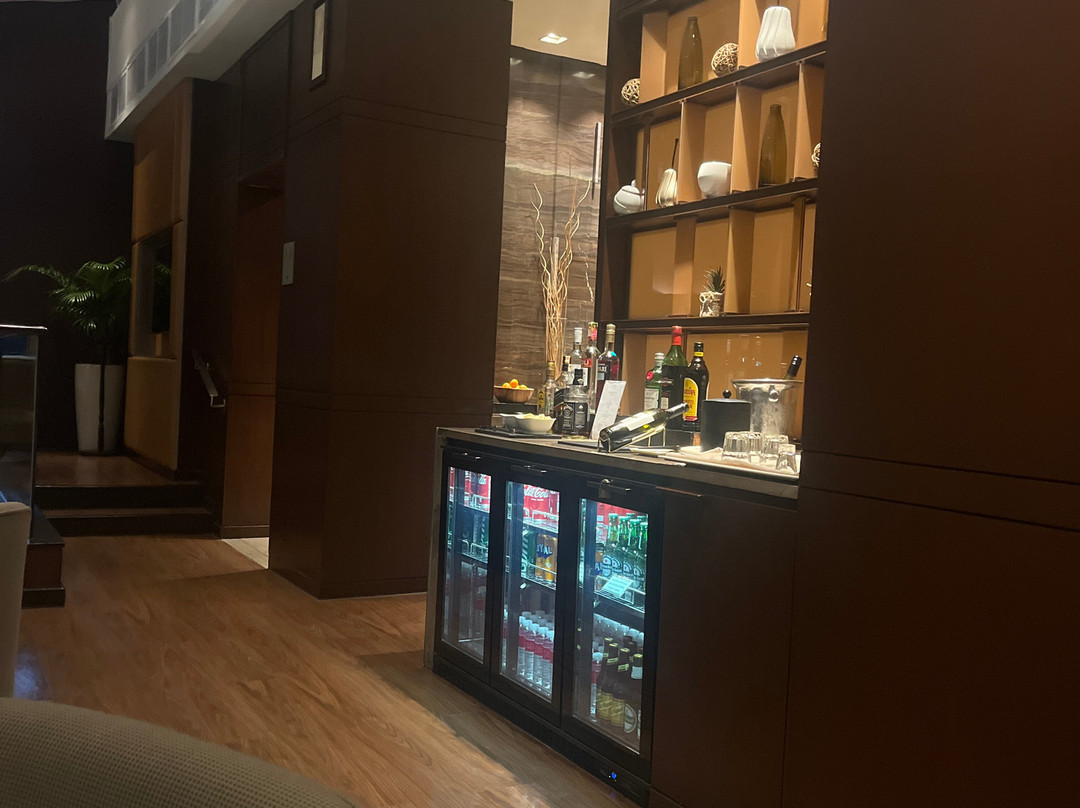 马尼拉马哥孛罗奥提加斯酒店主图