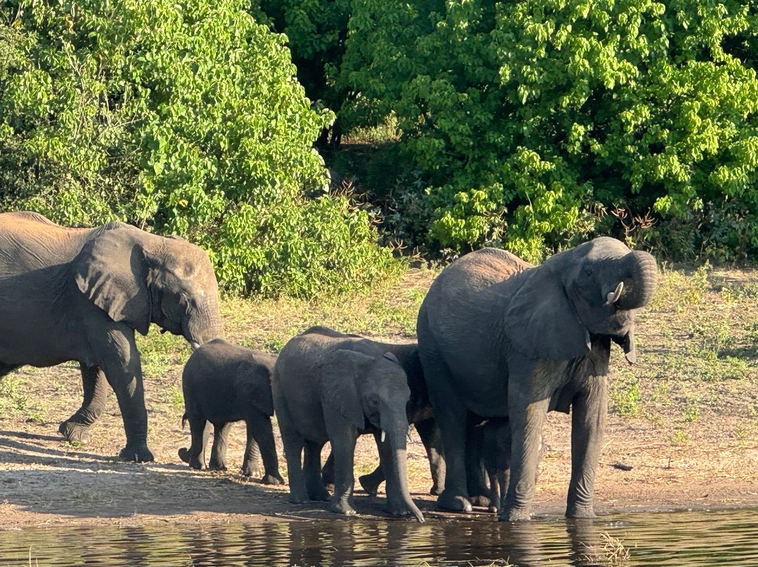 Africa's Best Adventures-开普敦必去景点