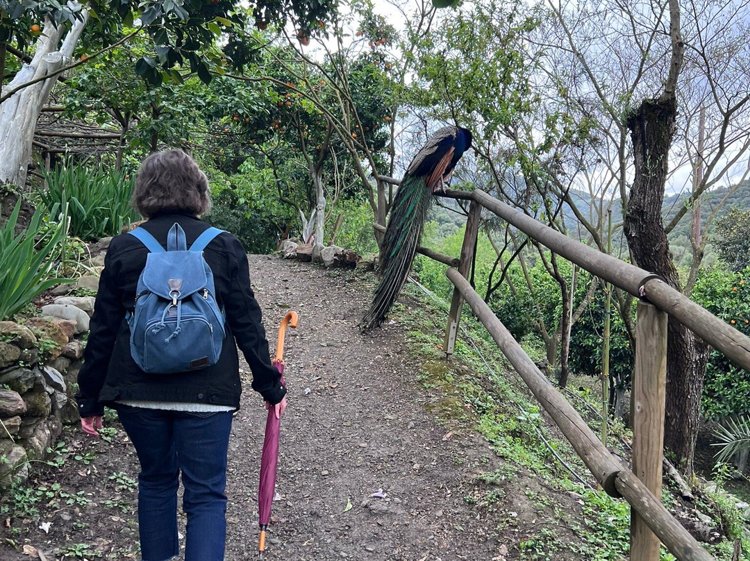 Botanical Garden Of Crete-Fournes必去景点