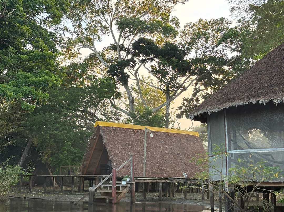 Indigena Tours-Rurrenabaque必去景点