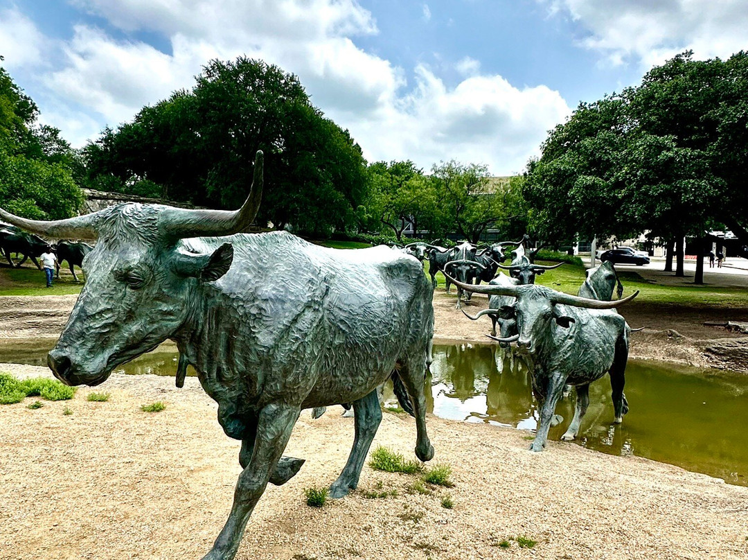 Dallas Cattle Drive Sculptures-达拉斯必去景点