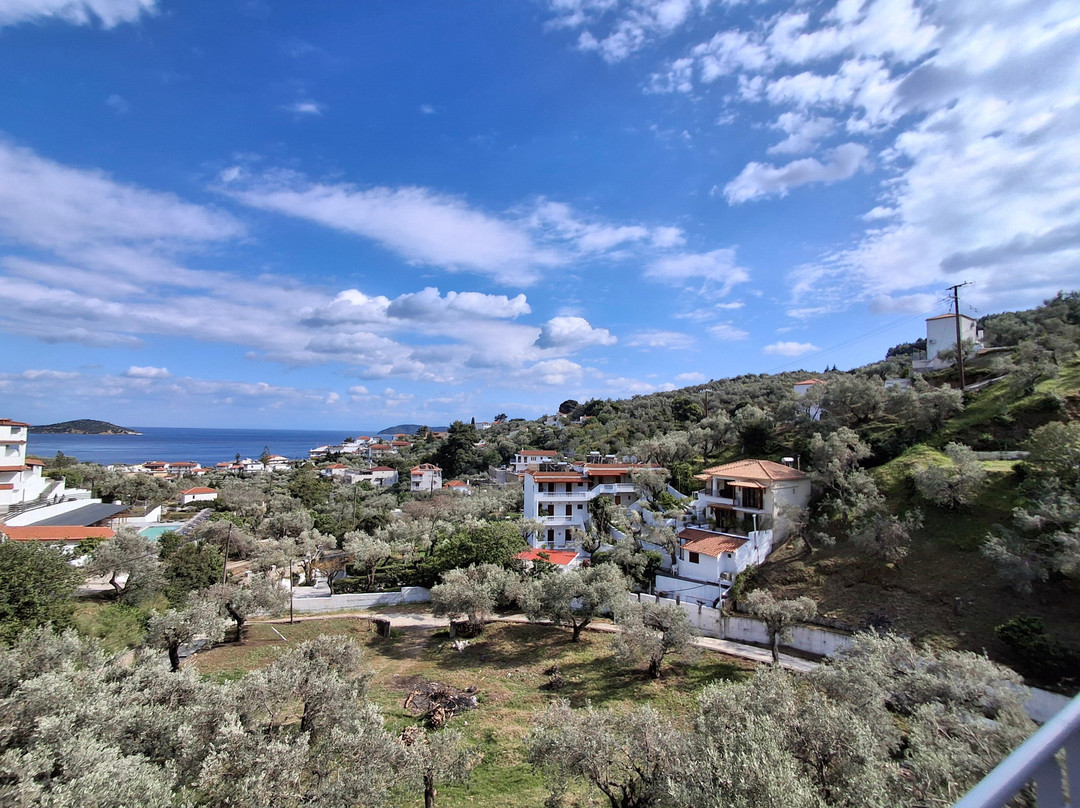 Avaton Hotel-Suites-Villas In Skiathos主图