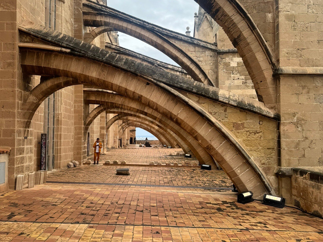 Terrazas de la Catedral de Palma-马洛卡帕尔马必去景点