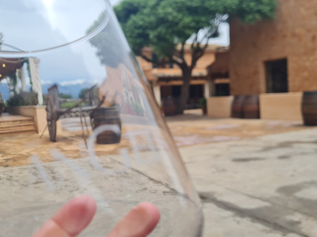 Bodegas Angel-Santa Maria del Cami必去景点