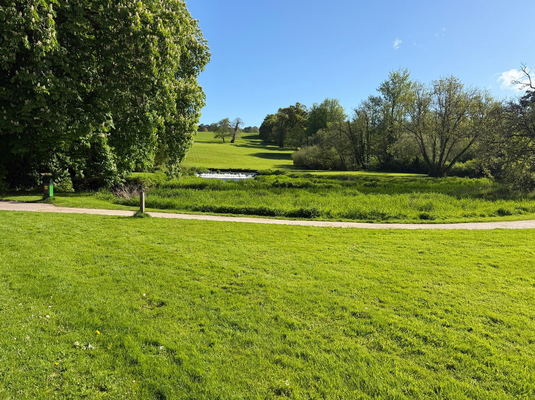 Doneraile Wildlife Park-Doneraile必去景点