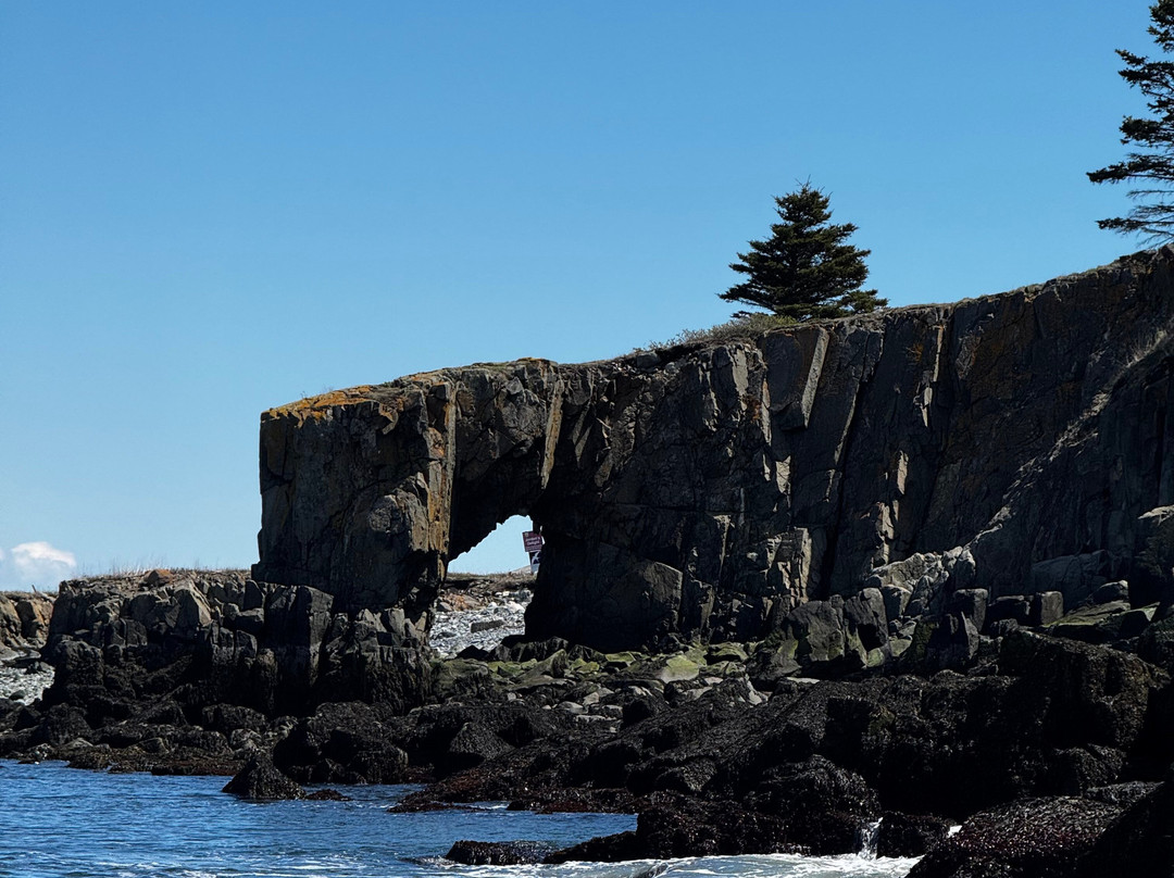 Robertson Sea Tours & Adventures-Milbridge必去景点