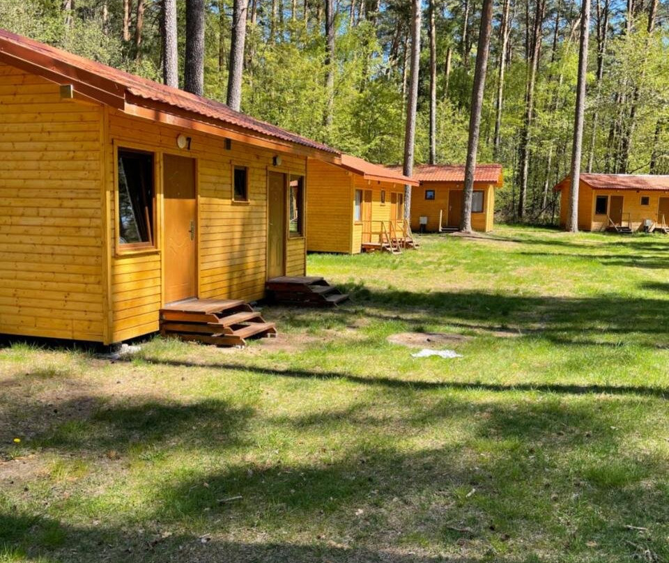 Pole Namiotowe Pod Sosnami