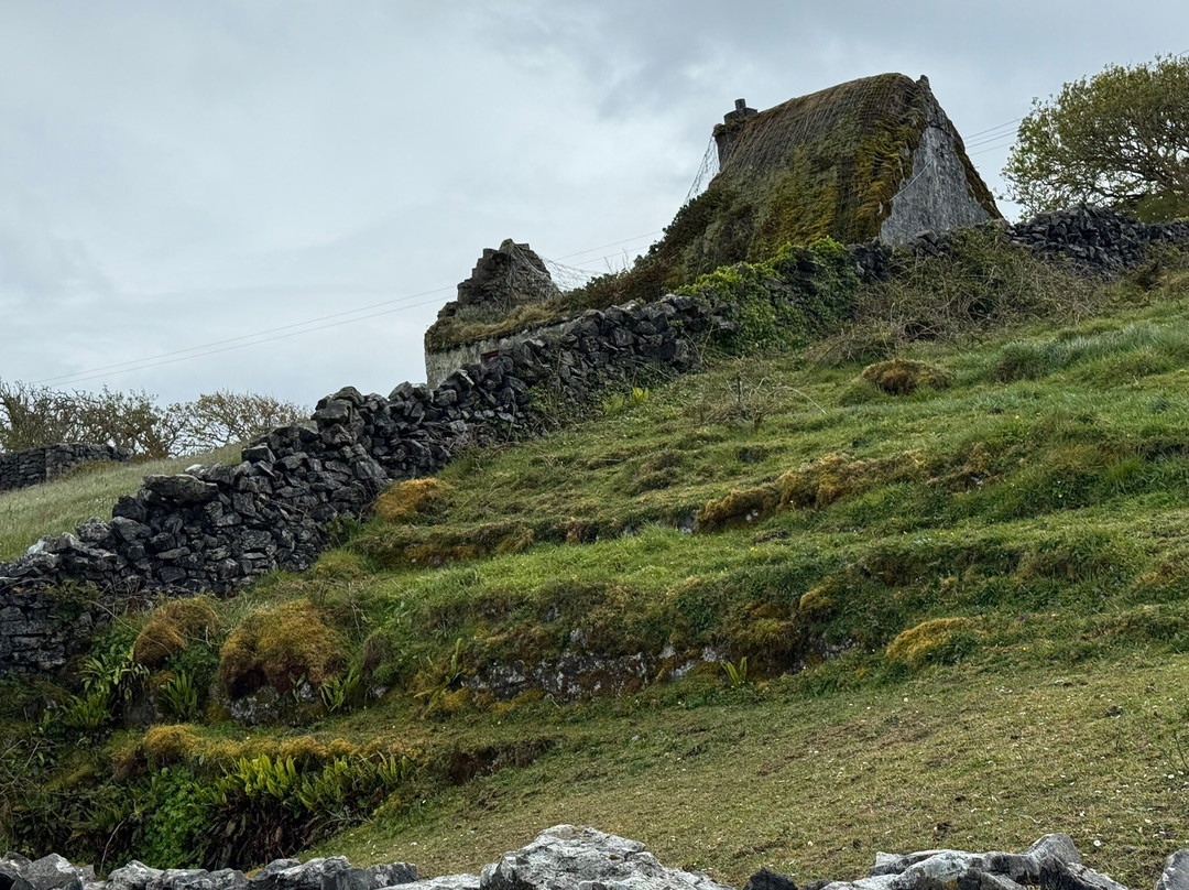 Thomas Faherty Tours-Inishmore必去景点