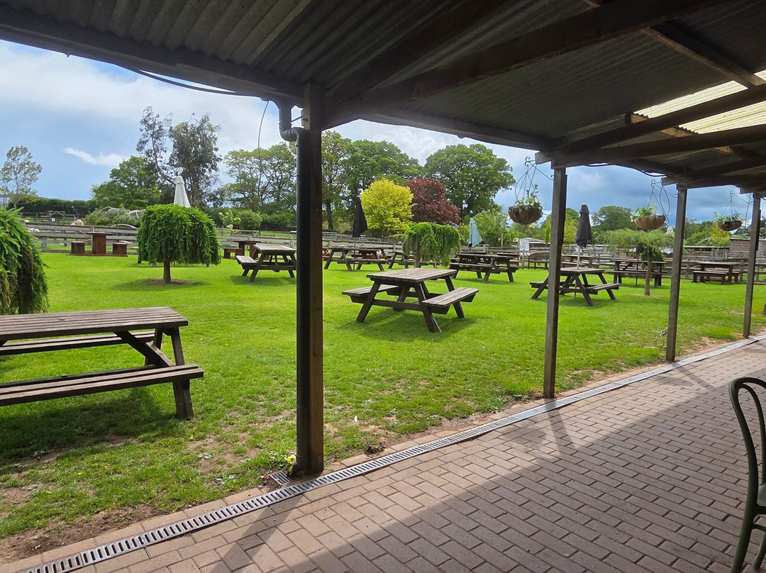 Small Breeds Farm Park-Kington必去景点