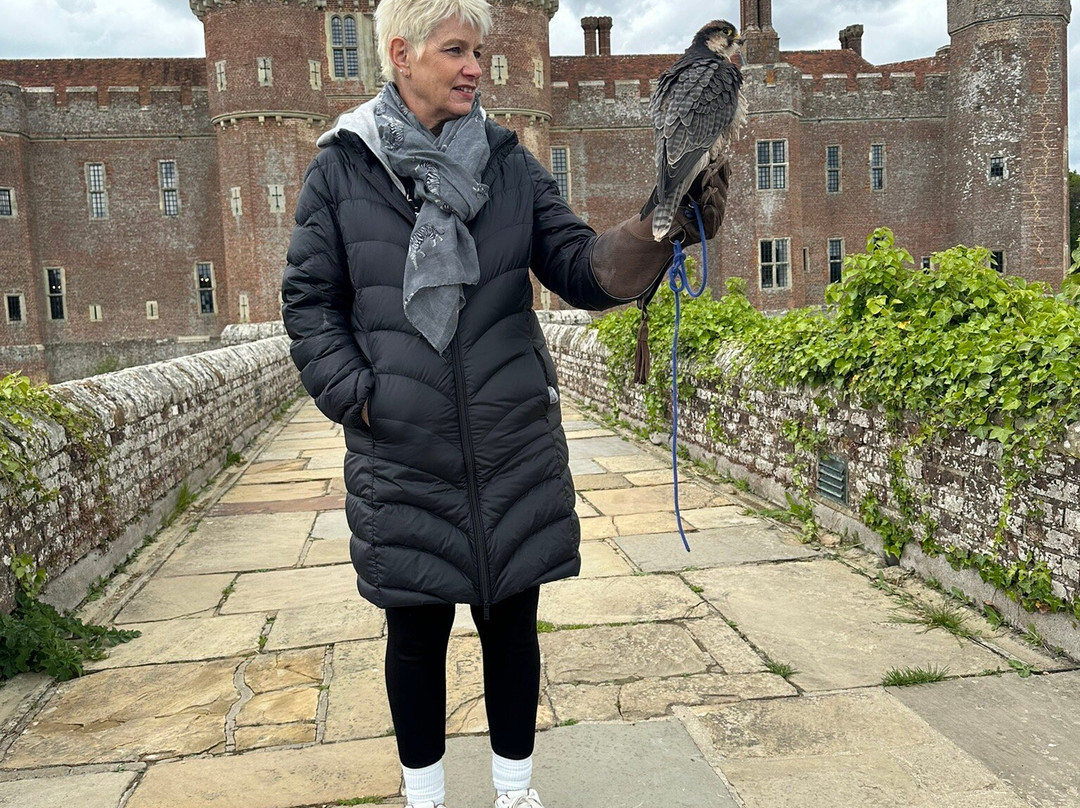 East Sussex Falconry-Herstmonceux必去景点