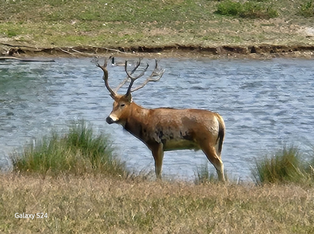 Watatunga Wildlife Reserve-金斯林必去景点