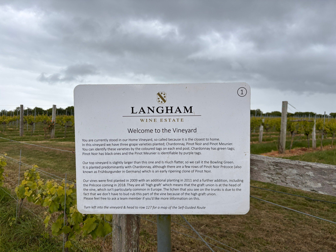 Langham Wine Estate Vineyard-多切斯特必去景点