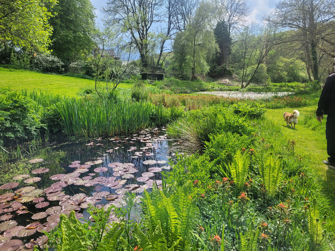 Cae Hir Gardens-Cribyn必去景点
