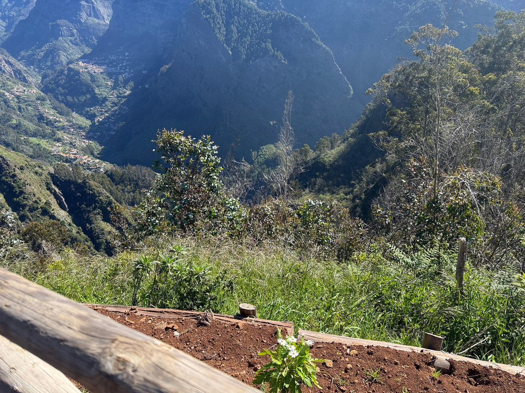Safari Madeira Island-沙尔必去景点