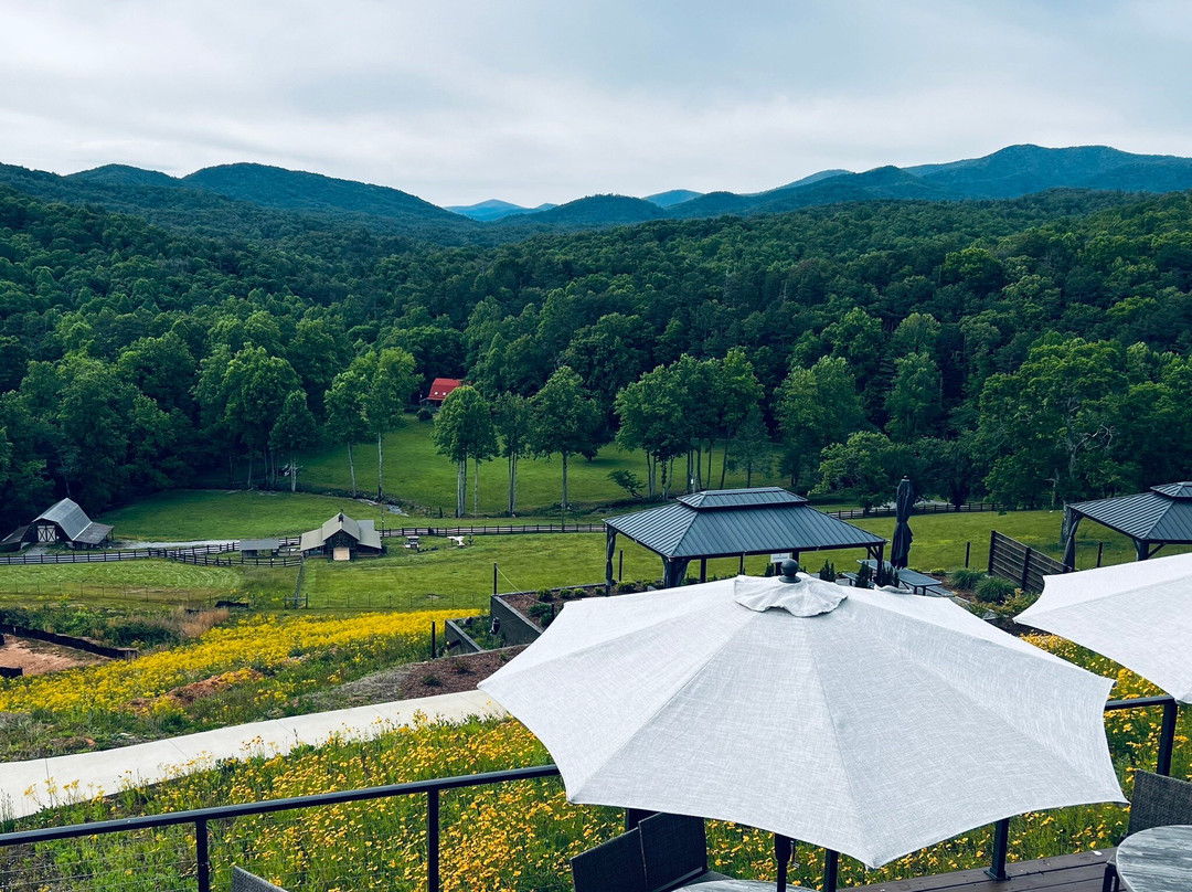Roo Mountain Vineyards and Bistro 21+-Ellijay必去景点