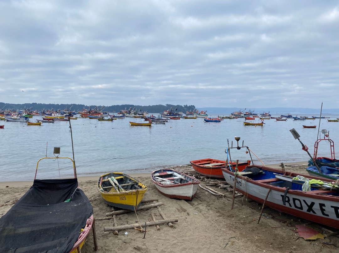Caleta Tumbes-Talcahuano必去景点