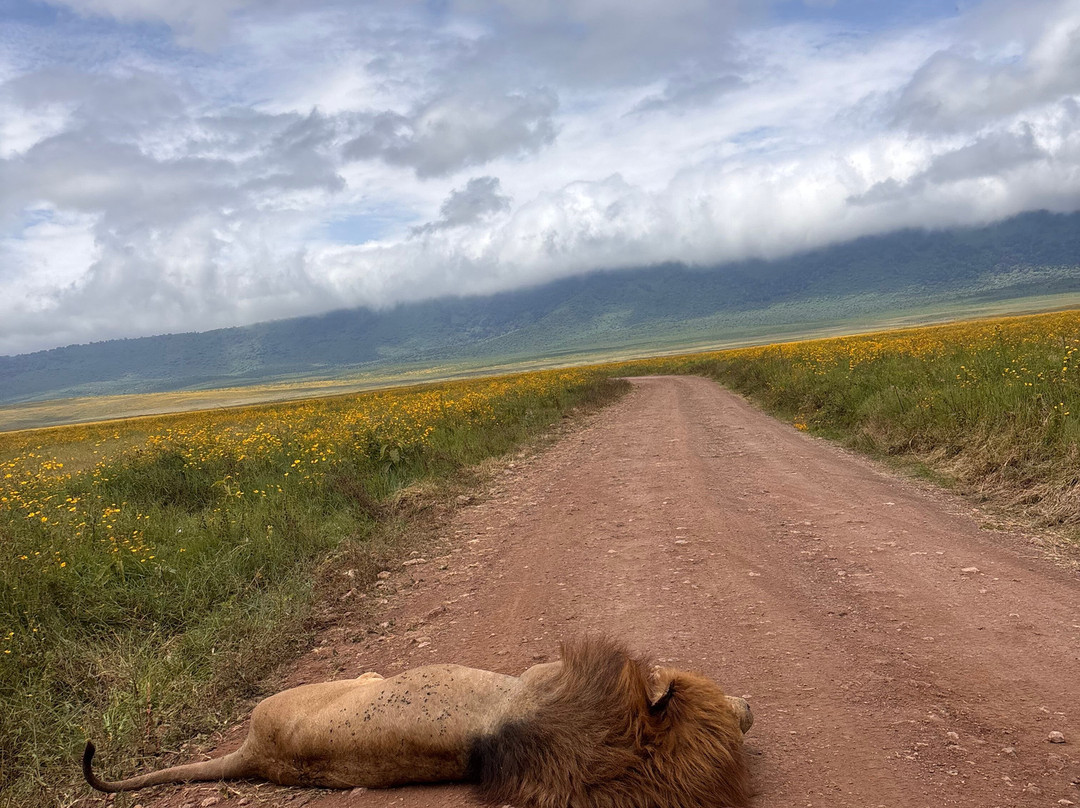 Tazama Africa Tours and Safari-阿鲁沙国家公园必去景点