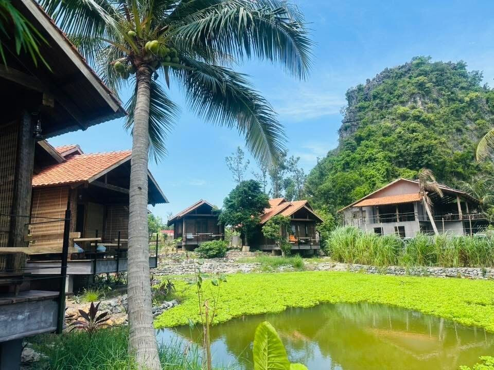 The Mangrove Café and Restaurant