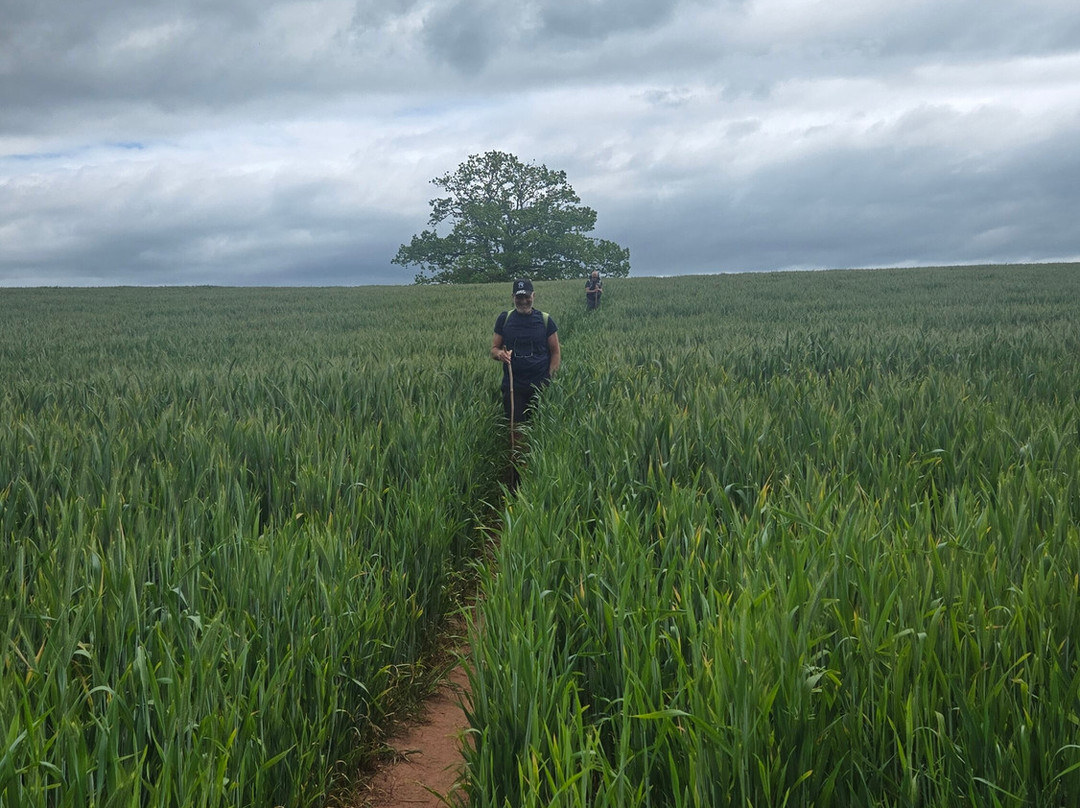 Offa's Dyke-Knighton必去景点