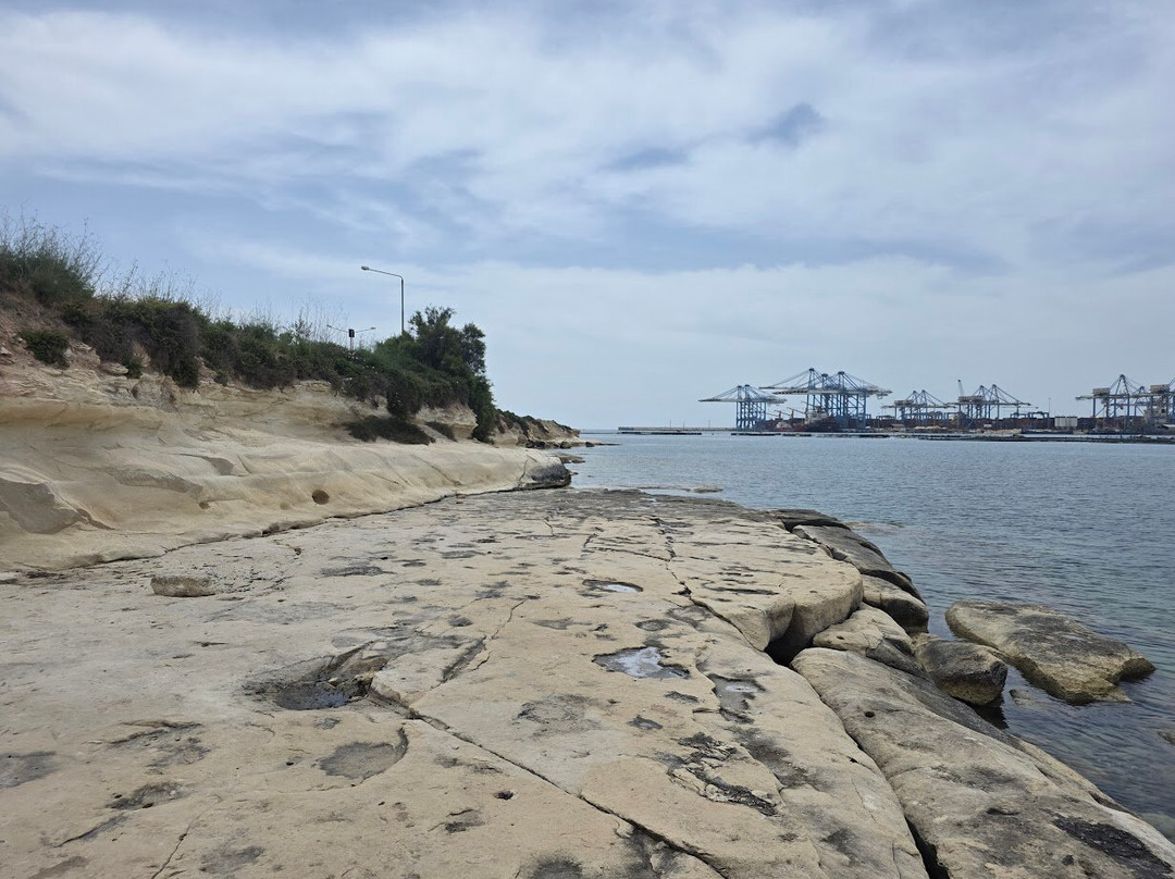Malta Freeport