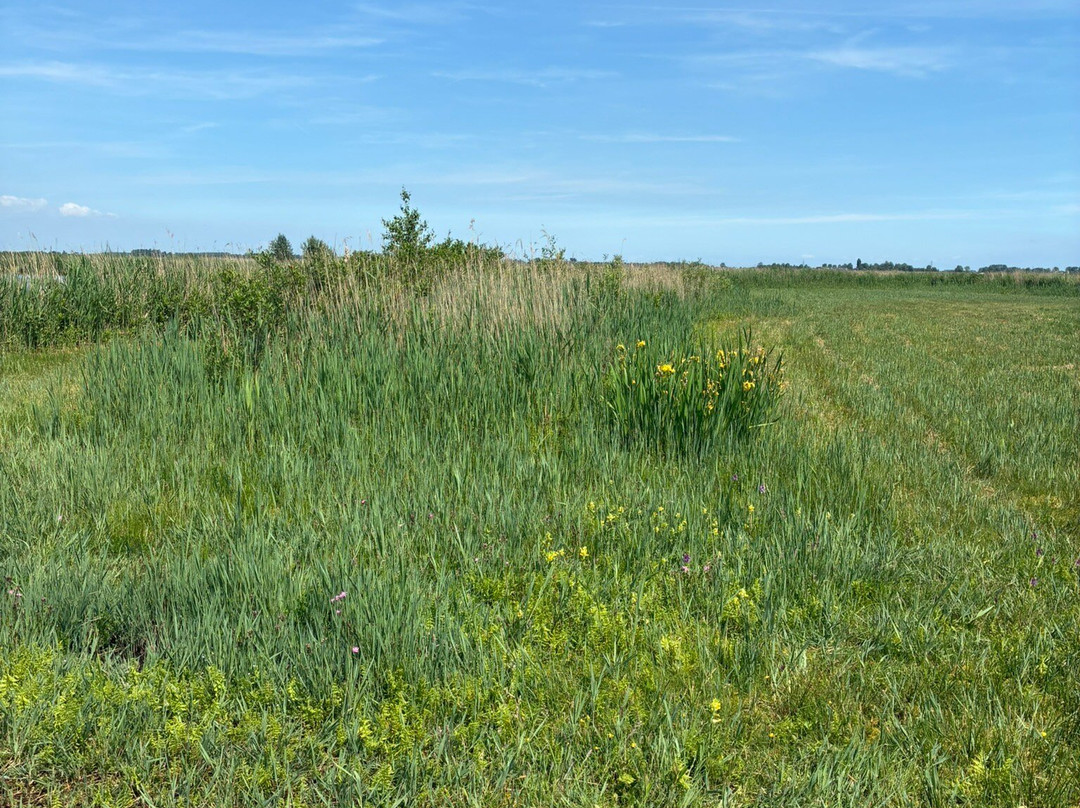 Ilperveld-Landsmeer必去景点