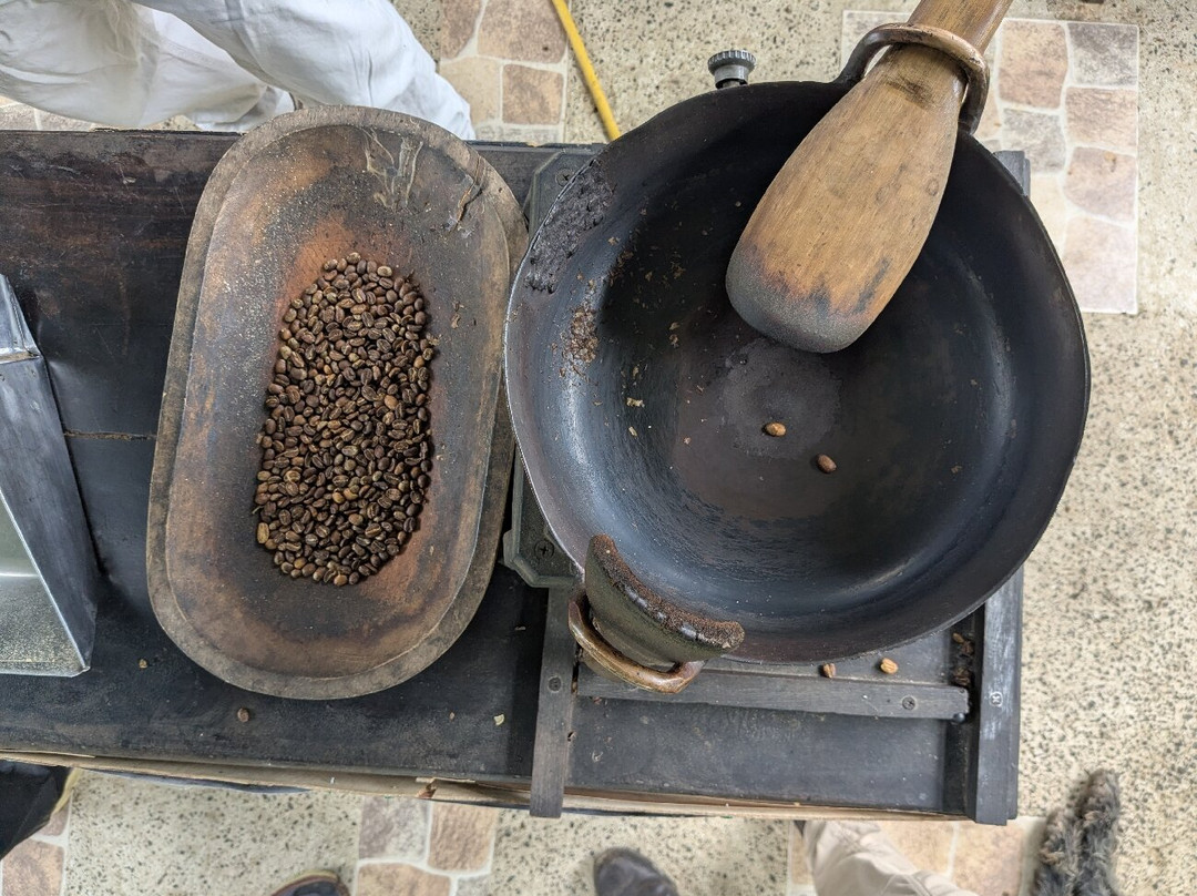 Finca Don Eduardo Coffee Tour-萨伦托必去景点