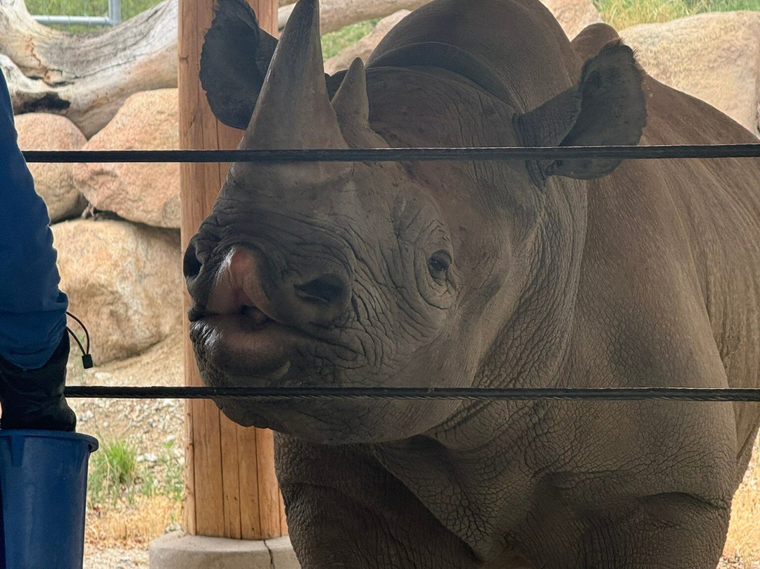 The Living Desert Zoo and Gardens-棕榈沙漠必去景点