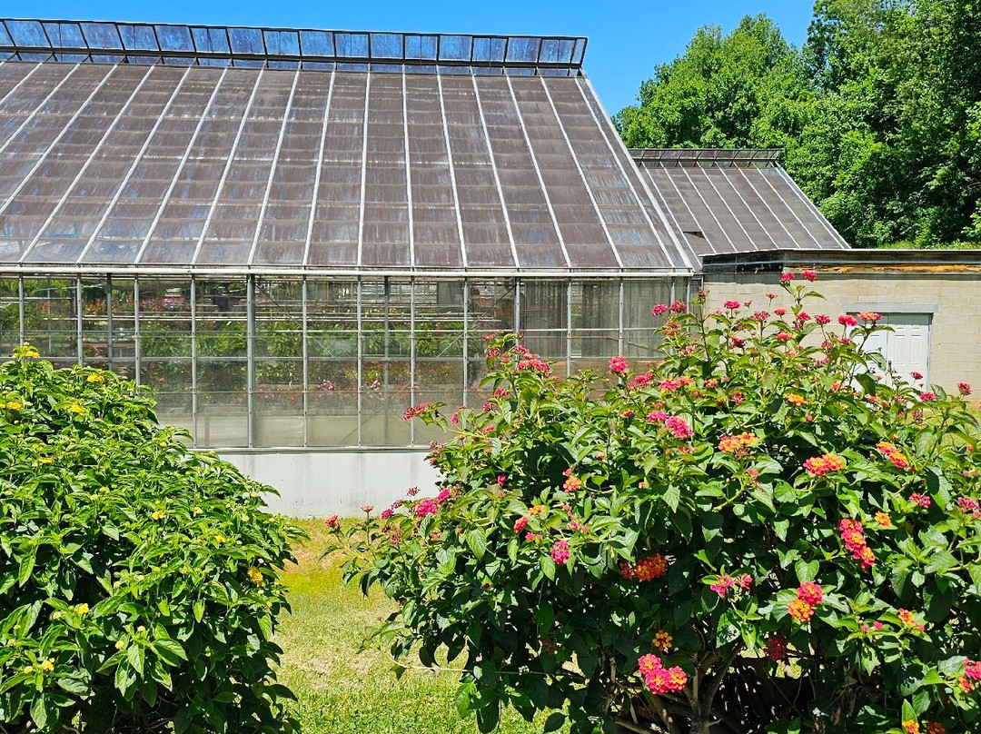 Grier Nursery & Greenhouses-Forest Hill必去景点