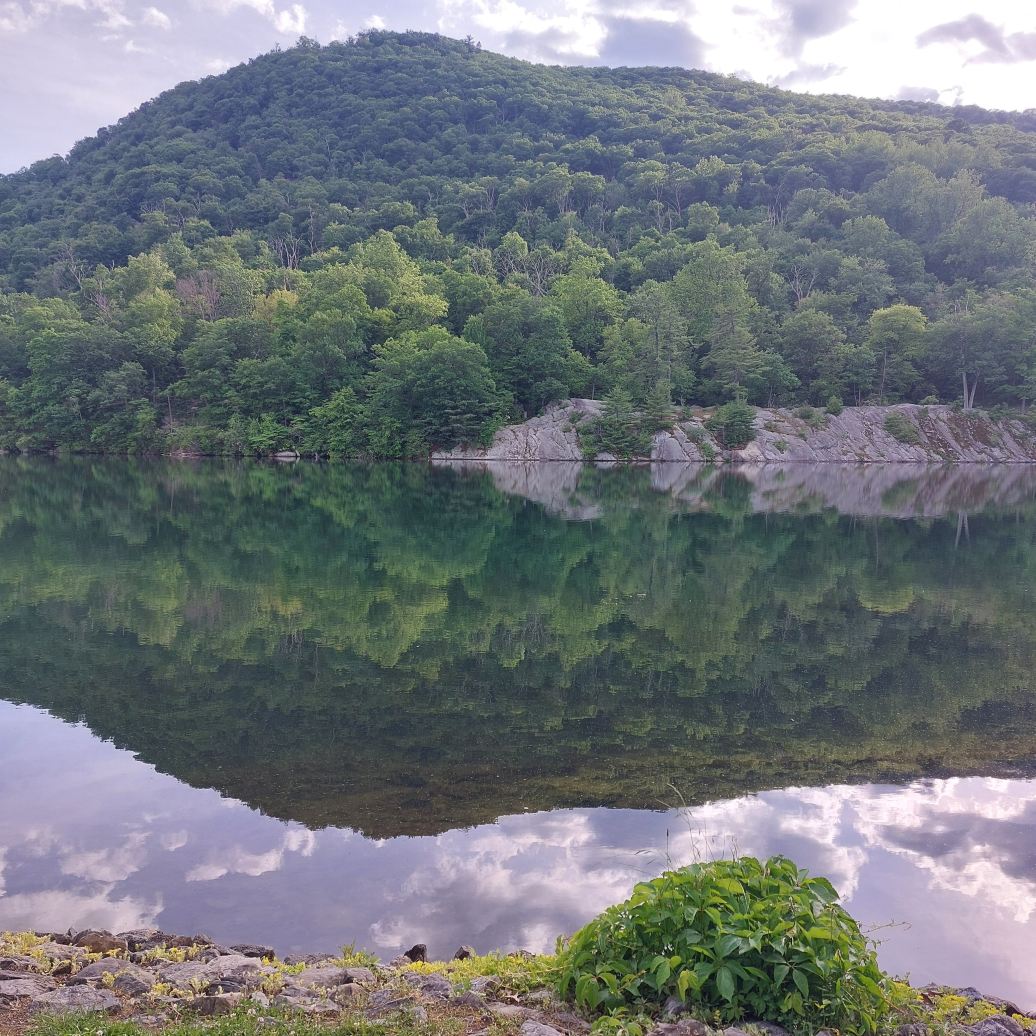 Bear Mountain Inn-旅行者