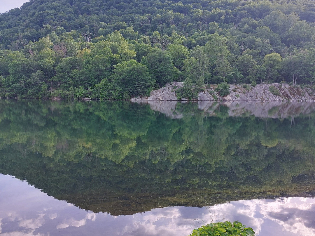 Bear Mountain Inn主图