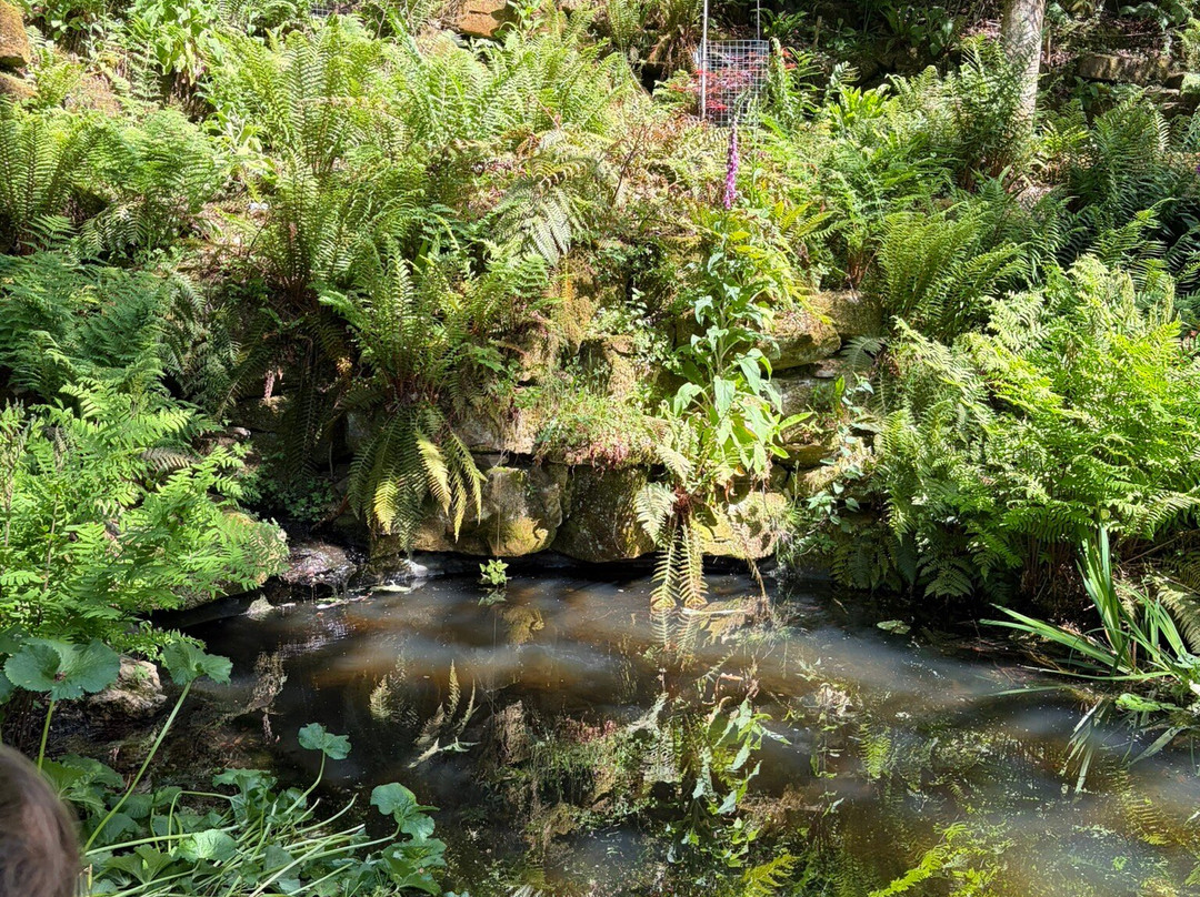 Riverhill Himalayan Gardens-Sevenoaks必去景点