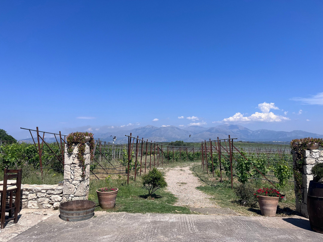 Lyrarakis Winery-伊拉克利翁必去景点