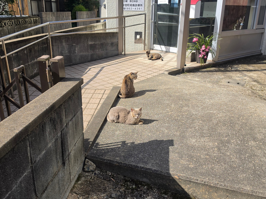 Ainoshima Island-新宫町必去景点