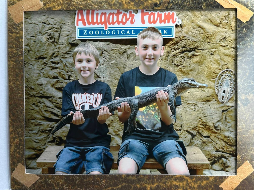 St. Augustine Alligator Farm Zoological Park-圣奥古斯丁必去景点