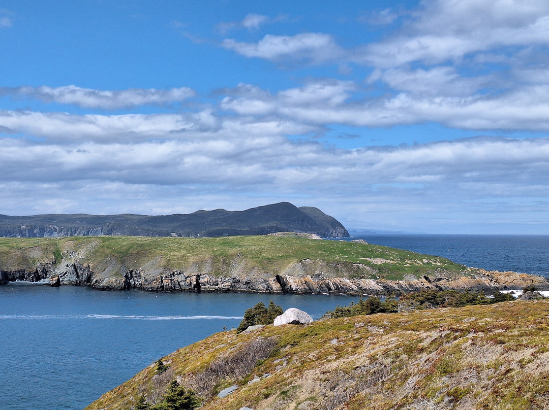 Ferryland Town-Ferryland必去景点