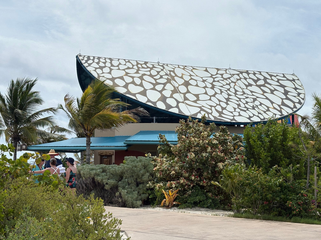 Disney Lookout Cay at Lighthouse Point-伊柳塞拉必去景点