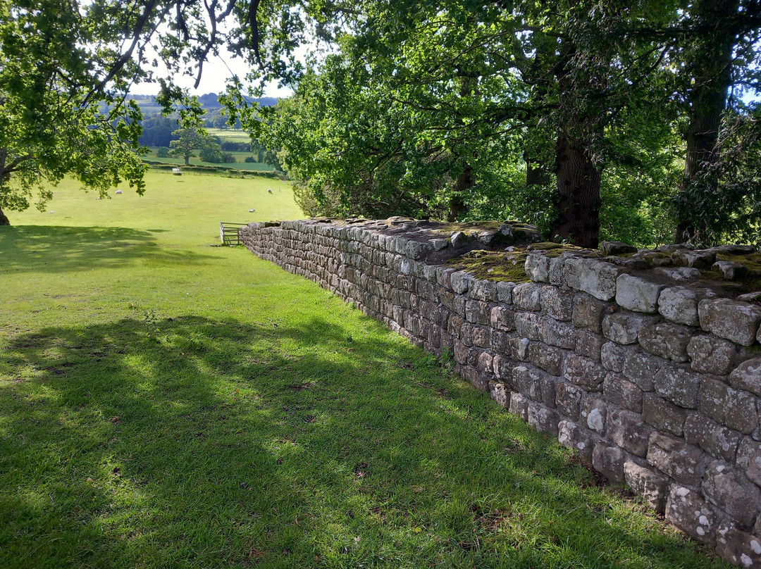 Hadrian's Wall Path-Wallsend必去景点