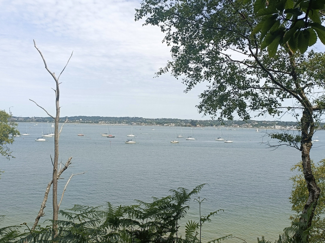 Brownsea Island-普尔必去景点