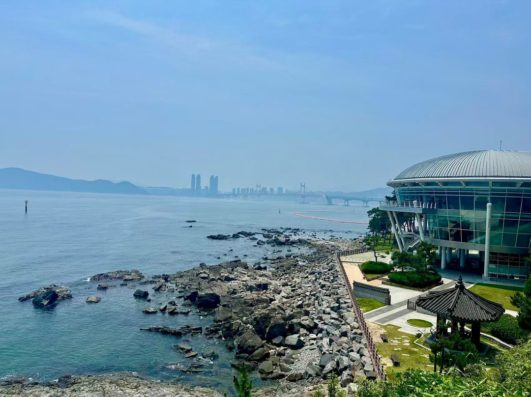 Dongbaekseom-釜山必去景点