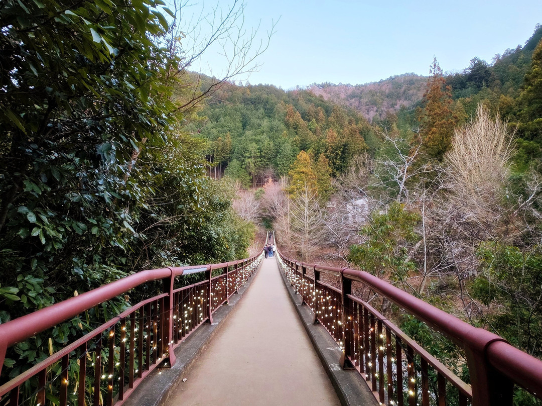 Ishibune Bridge-秋留野市必去景点