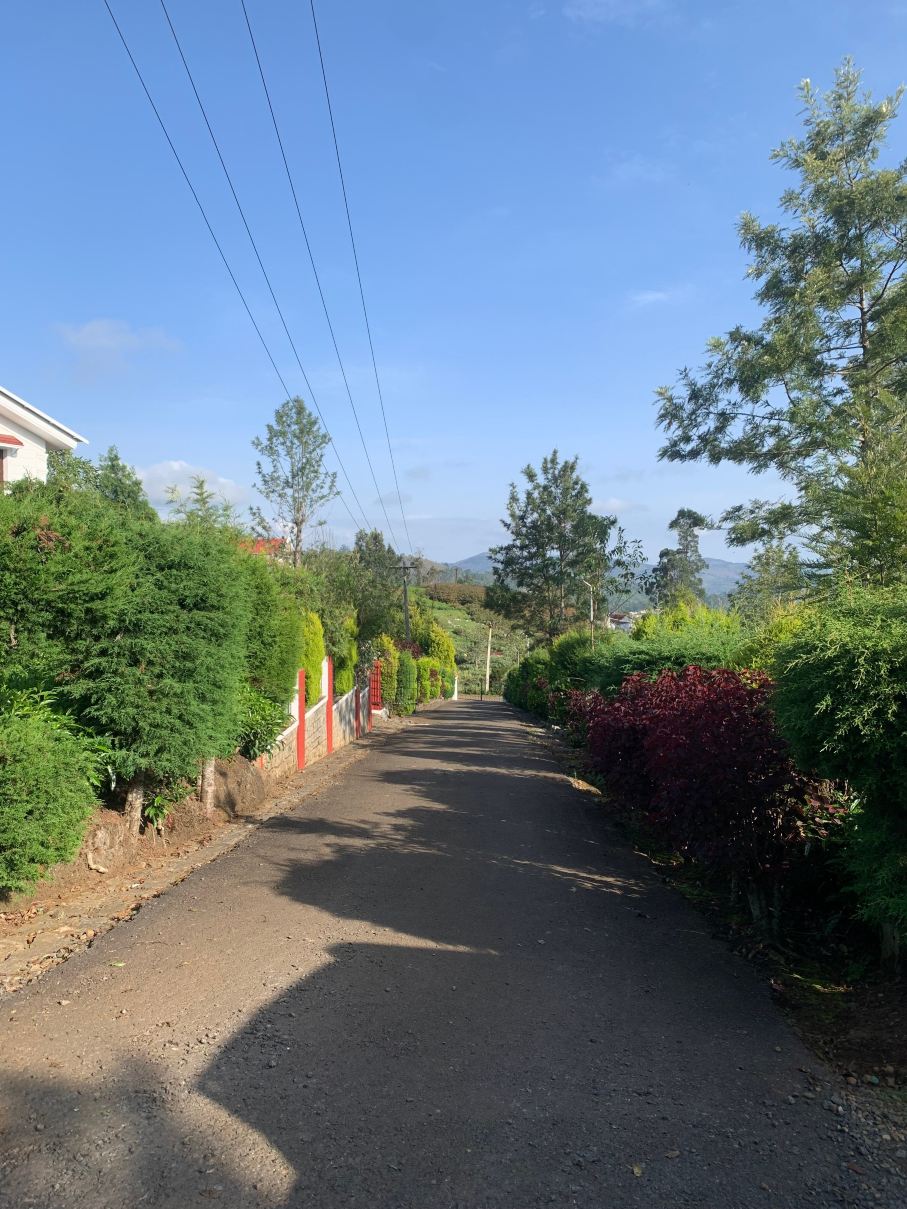 Trilan Cottages-旅行者